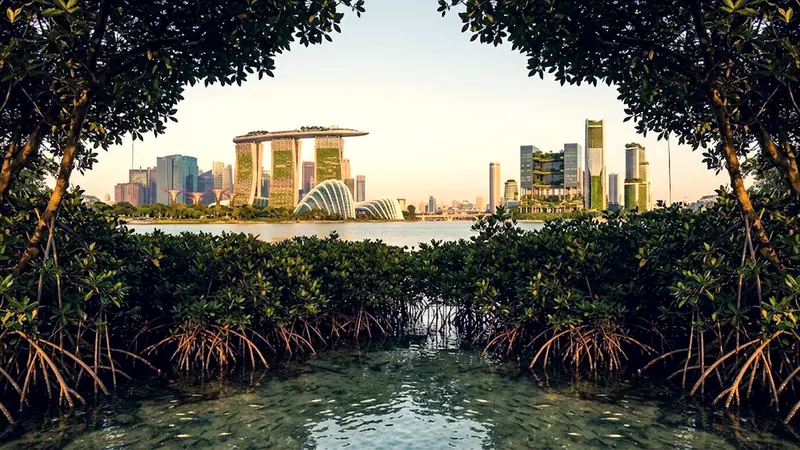 Food Security in Asia: Technology and Record-Breaking Ant... - Foto 2